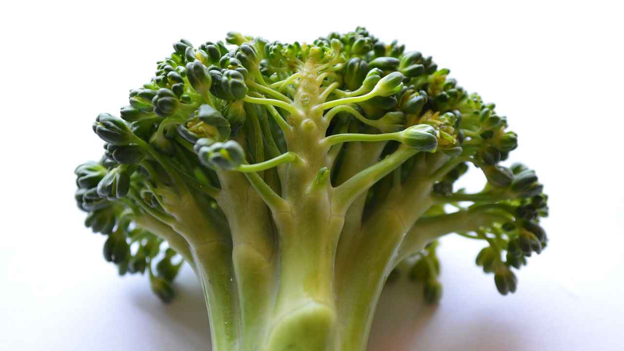 broccoli is a great source of fibre and nutrients