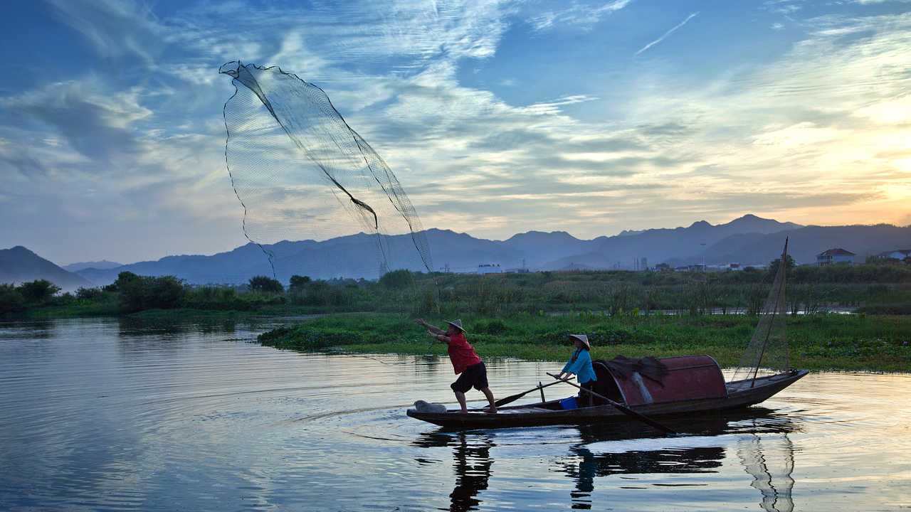 to catch more fish you may want to cast a wider net 