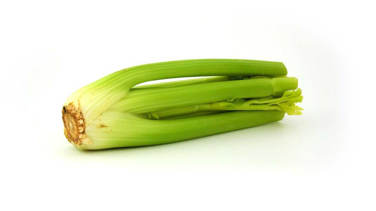 celery is very tasty but is made up of mostly water