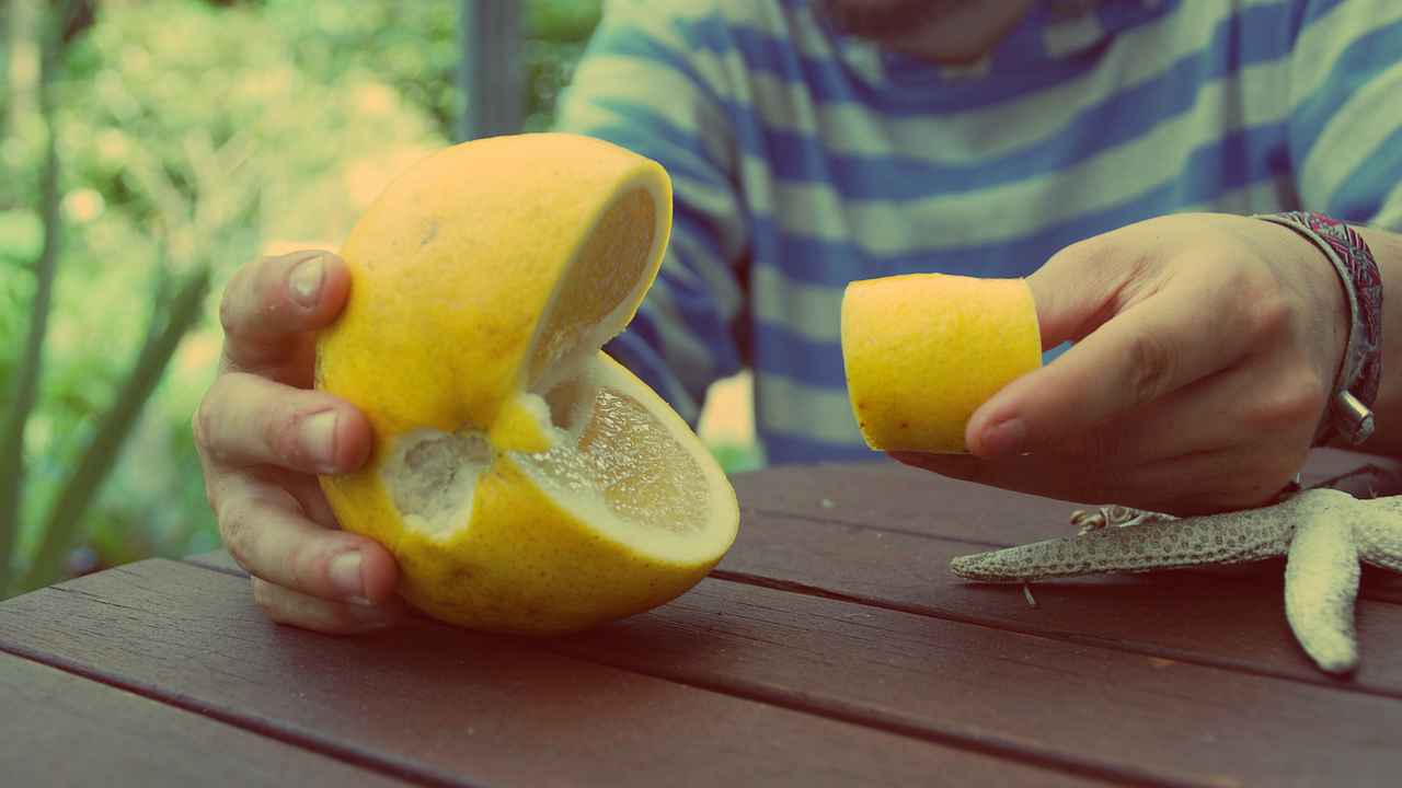 eating grapefruit releases 