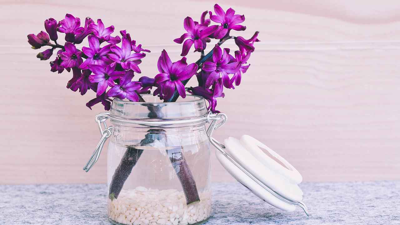 just a few bright flowers on a table can improve the look and smell of a room