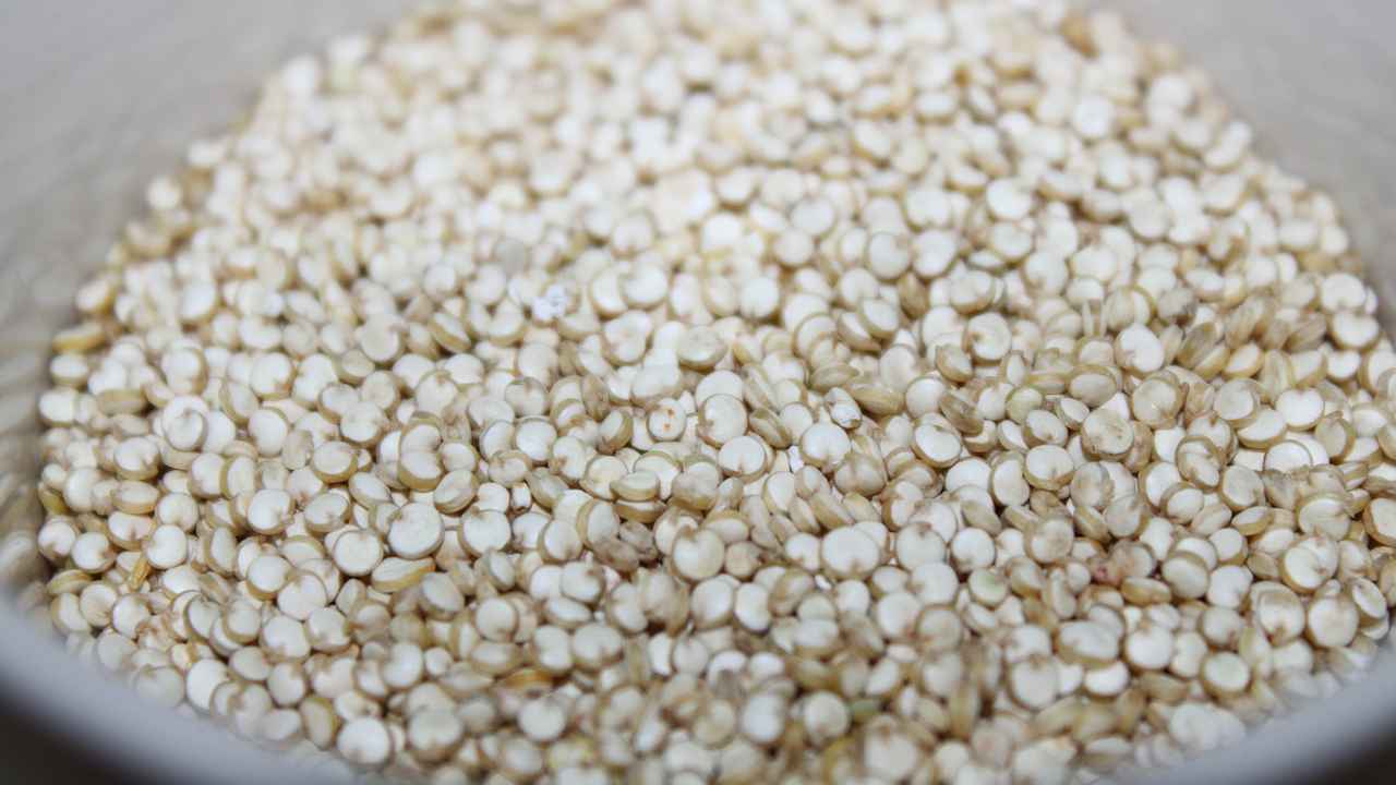 quinoa is a protein rich grain and energy source